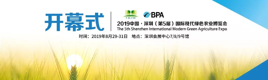2019深圳綠博會各大獎項塵埃落定，帶您看下各大獎項花落誰家！