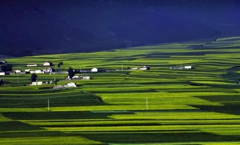 【農(nóng)業(yè)政策資訊】中央財(cái)政助農(nóng)業(yè)綠色發(fā)展，這才是未來農(nóng)業(yè)發(fā)展方向！