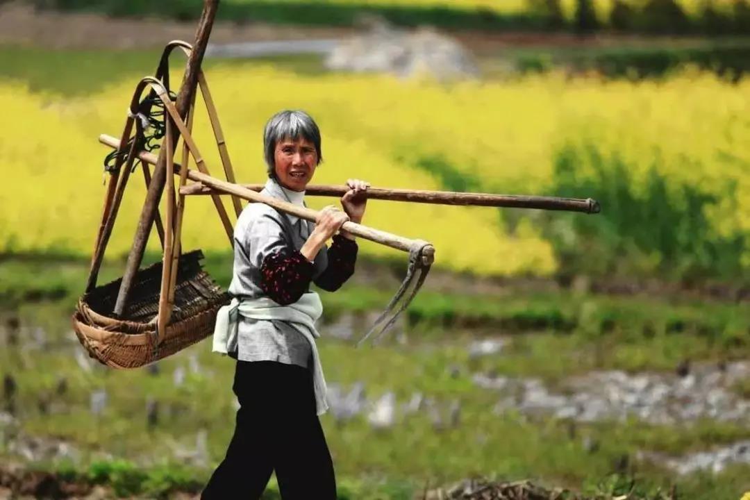 【農(nóng)業(yè)雜談】未來10年農(nóng)業(yè)改革，將使一半的農(nóng)民成為農(nóng)業(yè)產(chǎn)業(yè)工人