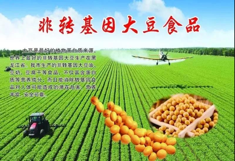 【綠博會(huì)動(dòng)態(tài)】 黑龍江美麗”麻山”已簽約亮相第七屆深圳綠博會(huì)，展示不一樣的綠色食品 ！