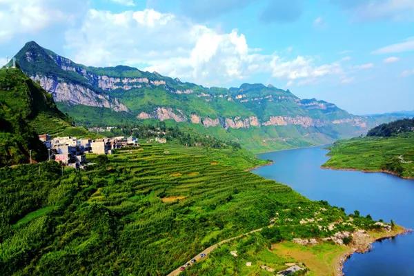 【綠博會動態(tài)】貴州省畢節(jié)市“納雍縣”已簽約第七屆“深圳綠博會”納雍的這些特色農(nóng)產(chǎn)品，你都知道嗎？