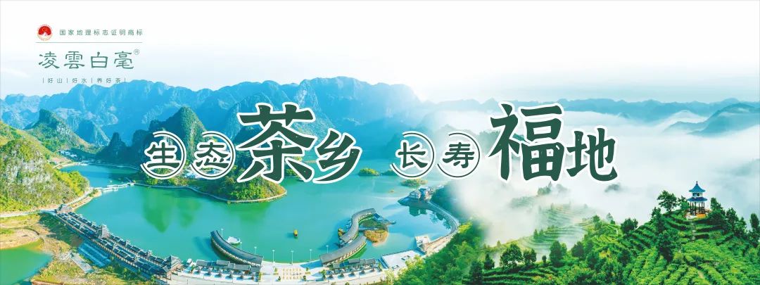 【展商風(fēng)采】壯志凌云！凌云縣農(nóng)特產(chǎn)品深圳綠博會(huì)秋季展銷會(huì)即將盛大開啟